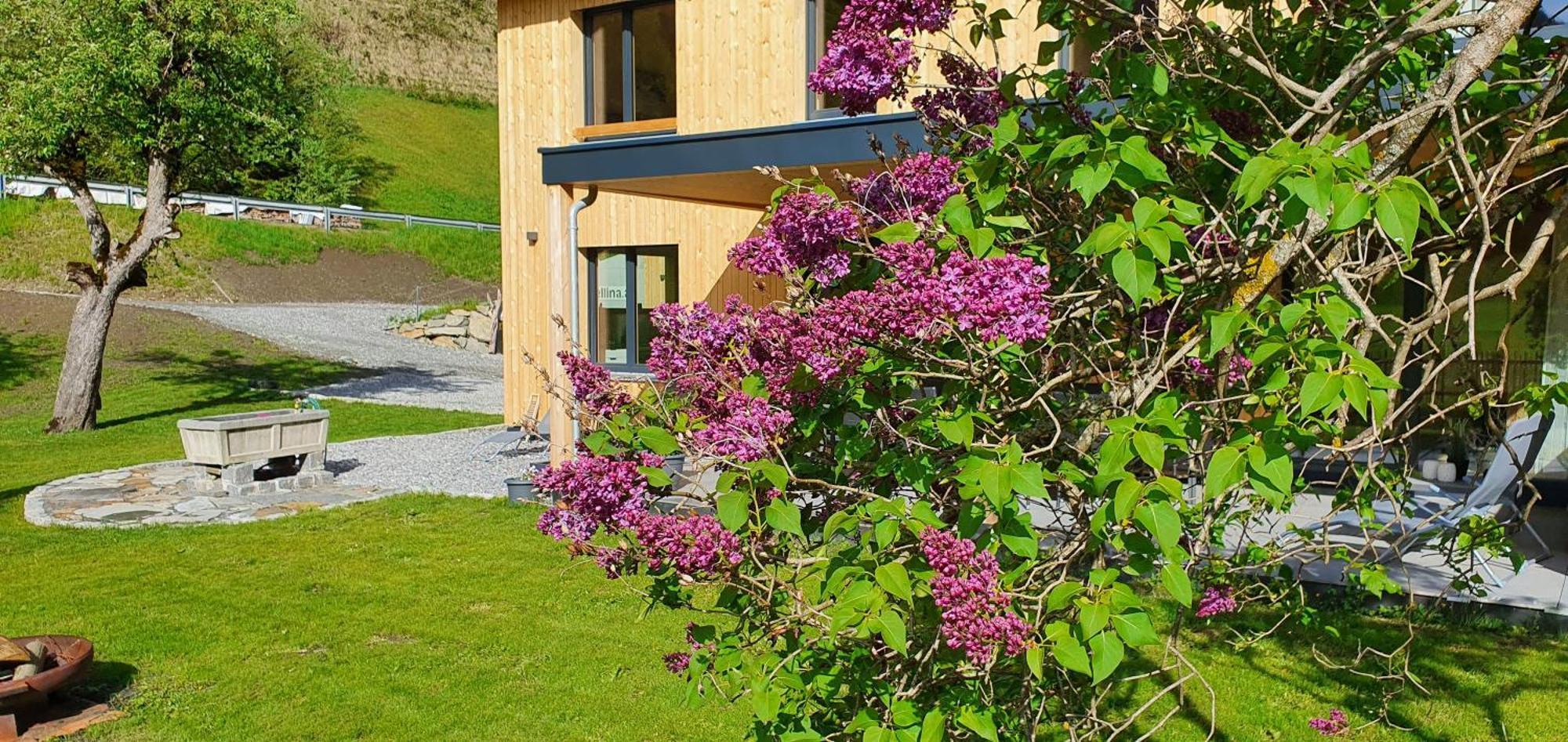 Galgenul Haus Valtellina 빌라 외부 사진